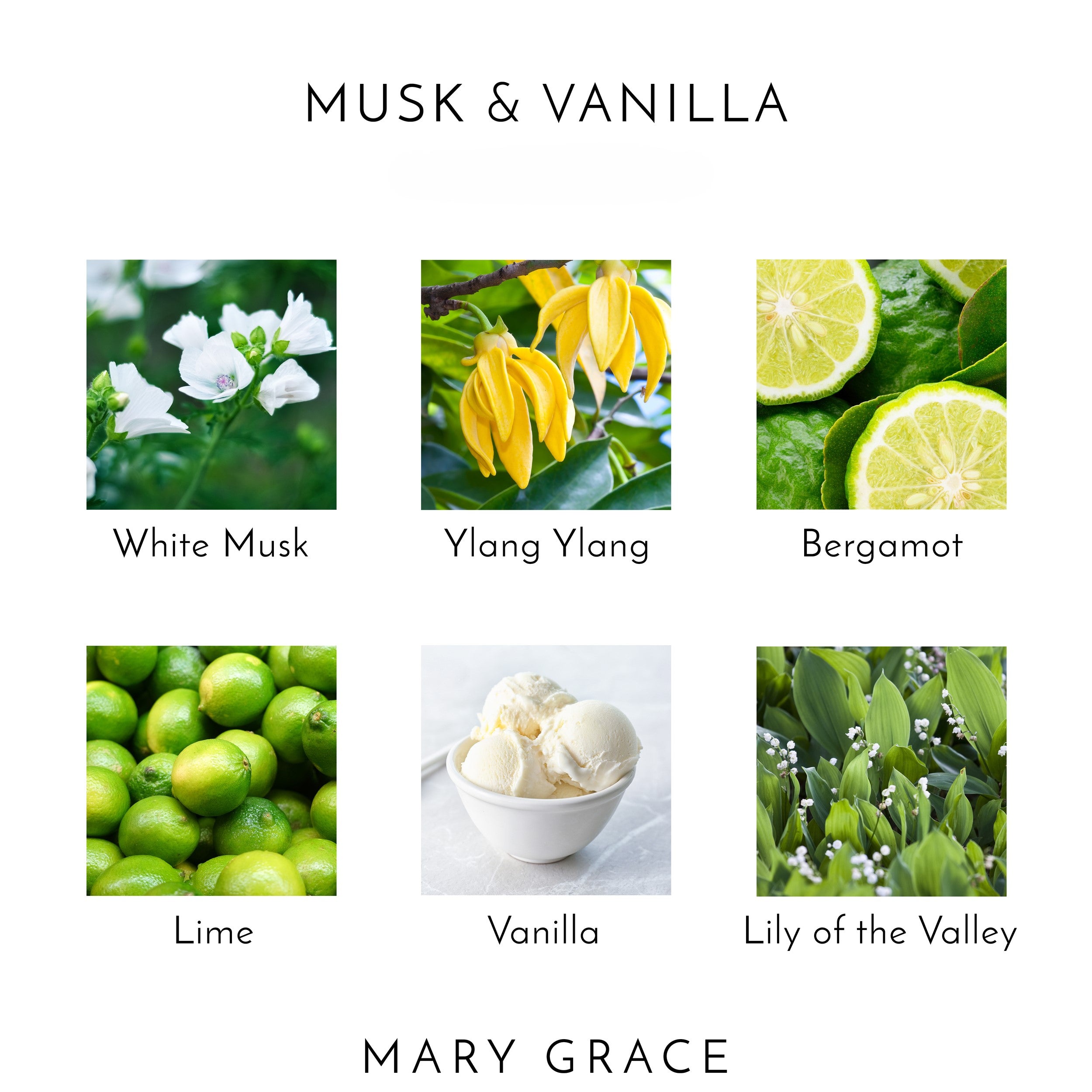 White Musk - Musk & Vanilla Eau De Parfum